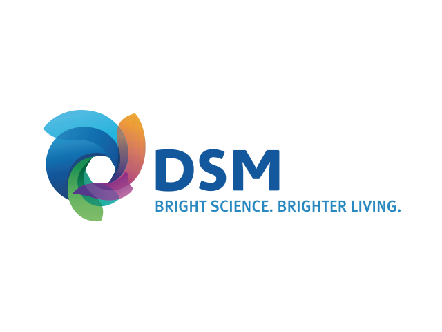 dsm_logo