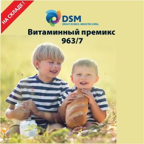 dsm premix